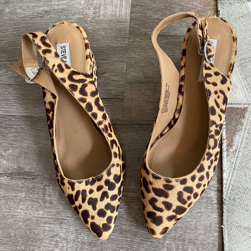 Cheetah Print Pointy Block Heels! Steve Madden Si… - image 1